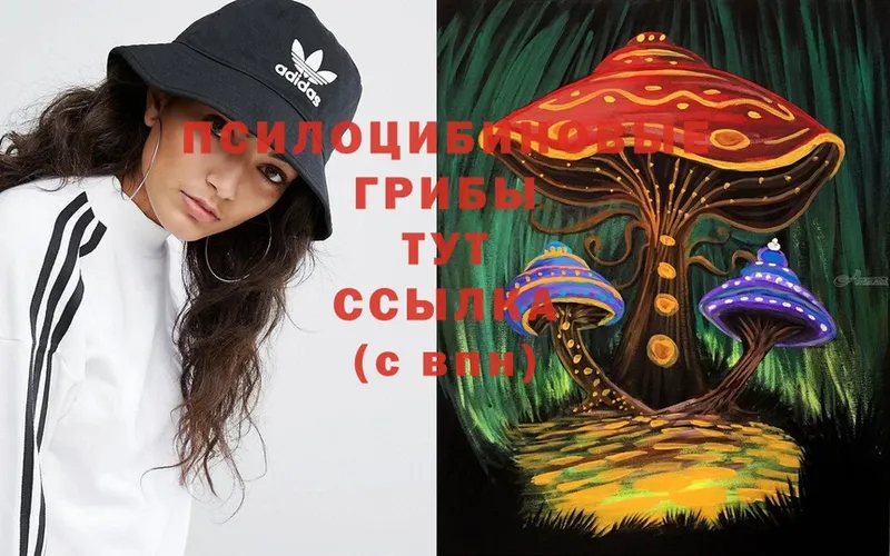 mega ONION  Мегион  Галлюциногенные грибы Magic Shrooms 